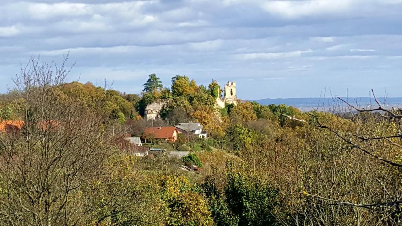 Kuca Za Odmor Vinica Breg Villa Varasd Kültér fotó